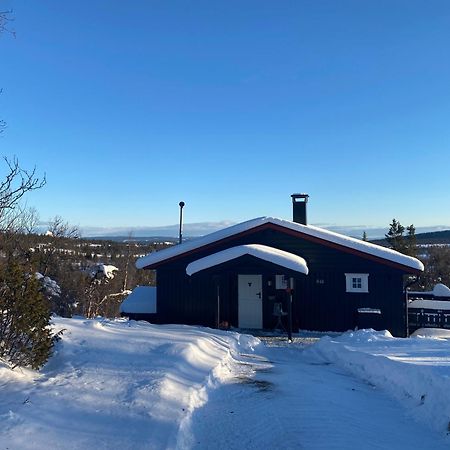 Cabin In The Mountain, Outstanding View & Solar Energy Slidre Bagian luar foto