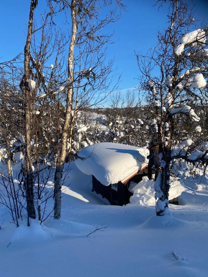 Cabin In The Mountain, Outstanding View & Solar Energy Slidre Bagian luar foto