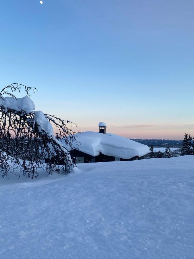 Cabin In The Mountain, Outstanding View & Solar Energy Slidre Bagian luar foto