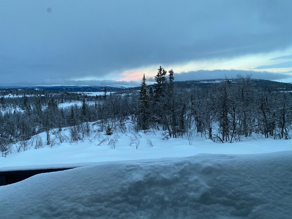 Cabin In The Mountain, Outstanding View & Solar Energy Slidre Bagian luar foto