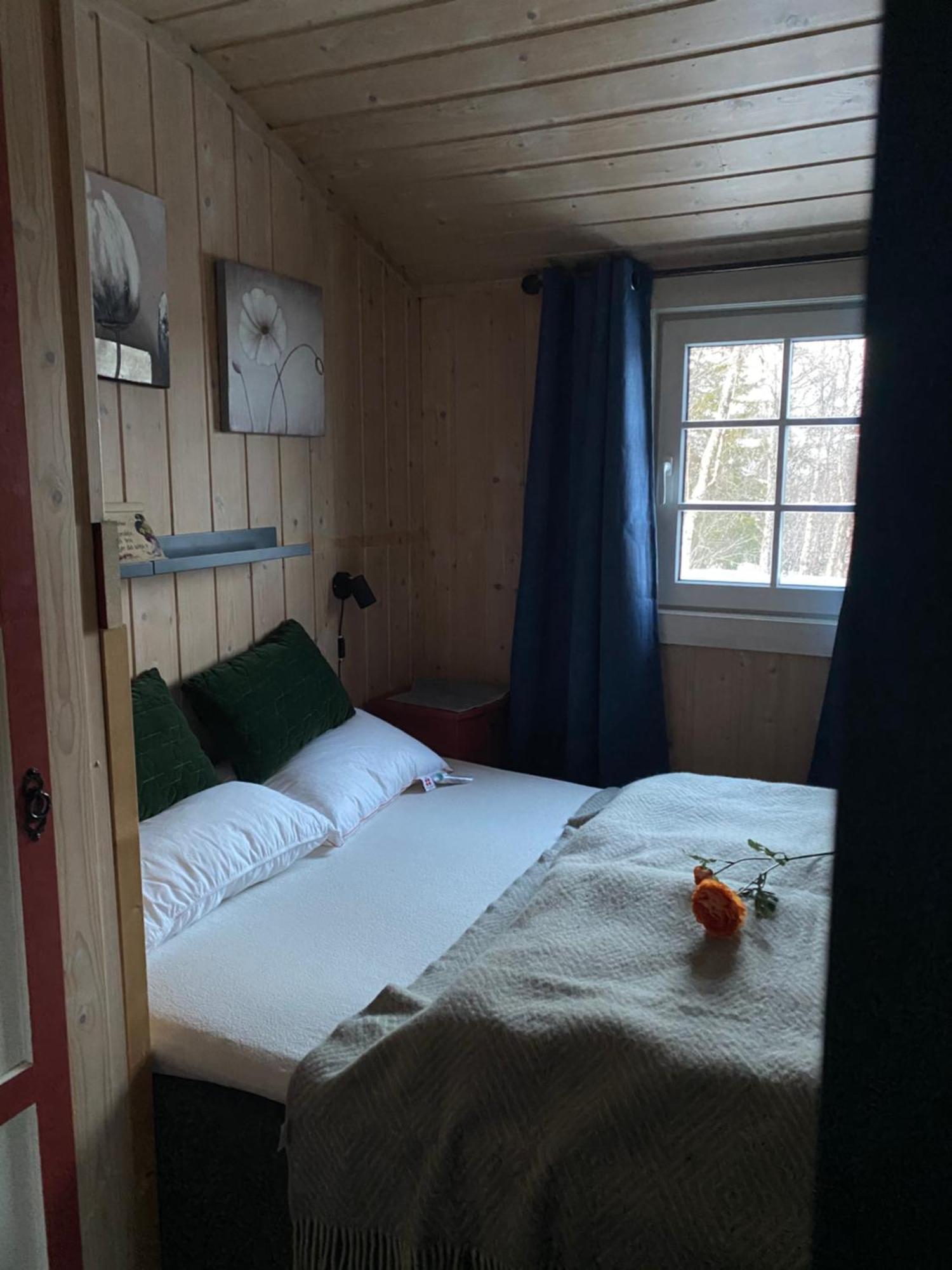 Cabin In The Mountain, Outstanding View & Solar Energy Slidre Bagian luar foto